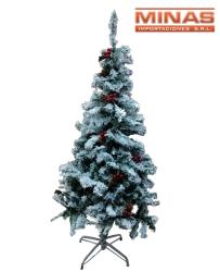 arbol