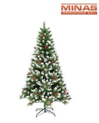 arbol